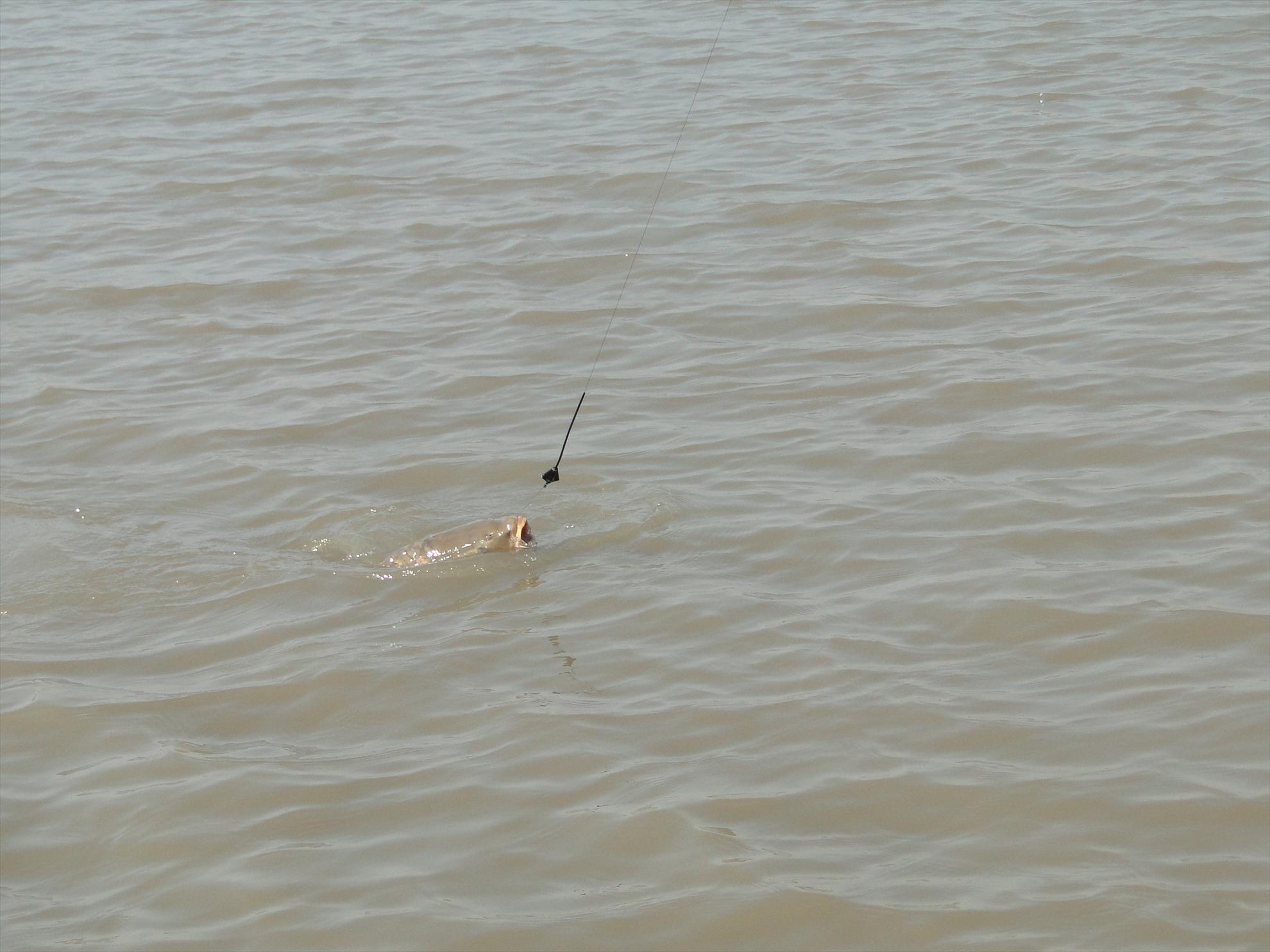 Derek - dsc08343.JPG